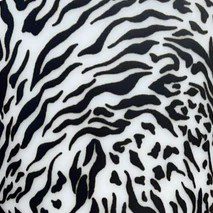 Black and white zebra stripes